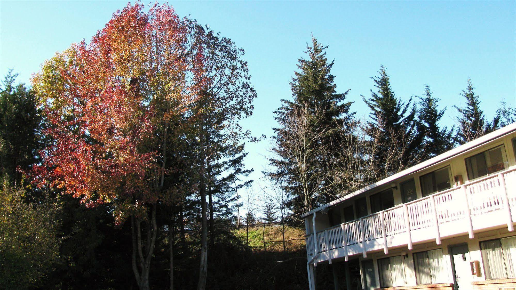 Motel Puyallup Eksteriør billede